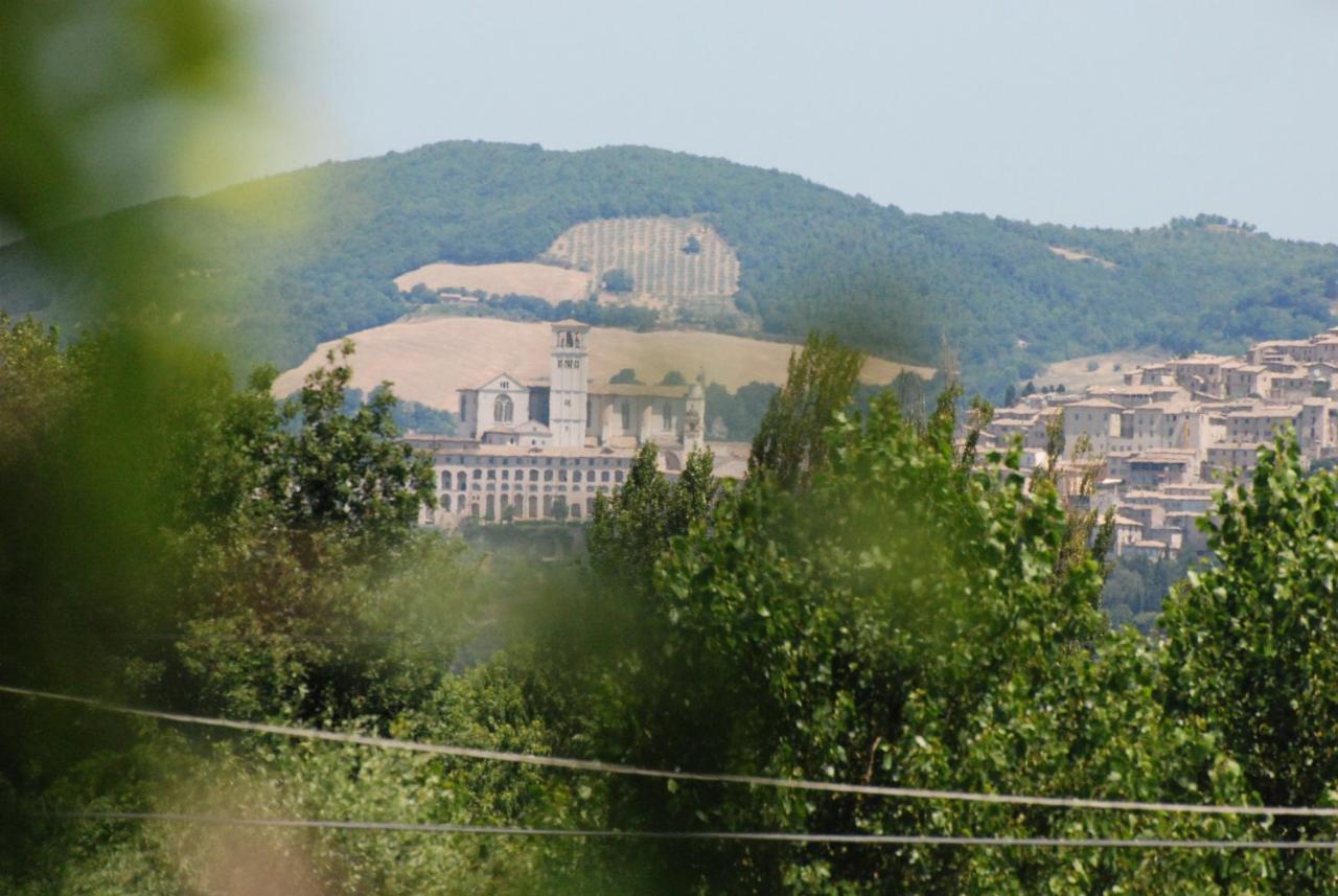 Agriturismo"Il Sagrato Di Assisi" Appartamenti,Camere Luaran gambar