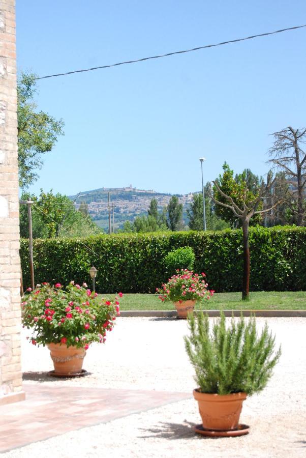 Agriturismo"Il Sagrato Di Assisi" Appartamenti,Camere Luaran gambar