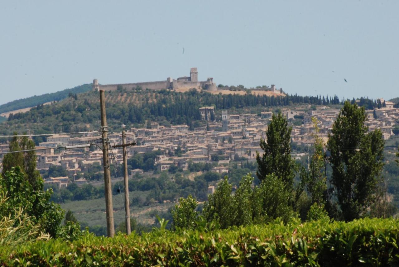 Agriturismo"Il Sagrato Di Assisi" Appartamenti,Camere Luaran gambar