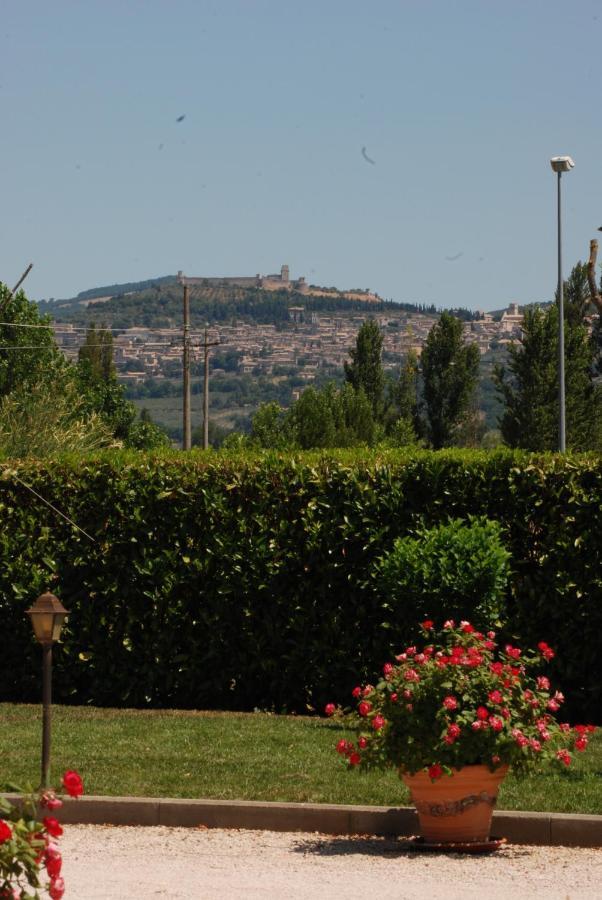 Agriturismo"Il Sagrato Di Assisi" Appartamenti,Camere Luaran gambar