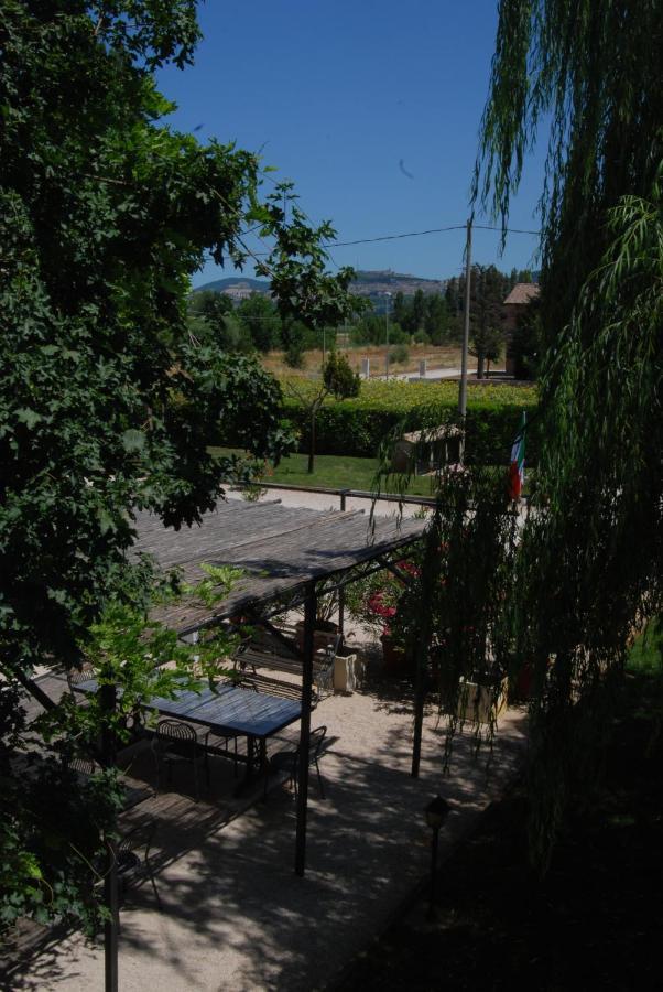 Agriturismo"Il Sagrato Di Assisi" Appartamenti,Camere Luaran gambar