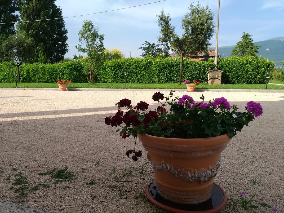 Agriturismo"Il Sagrato Di Assisi" Appartamenti,Camere Luaran gambar