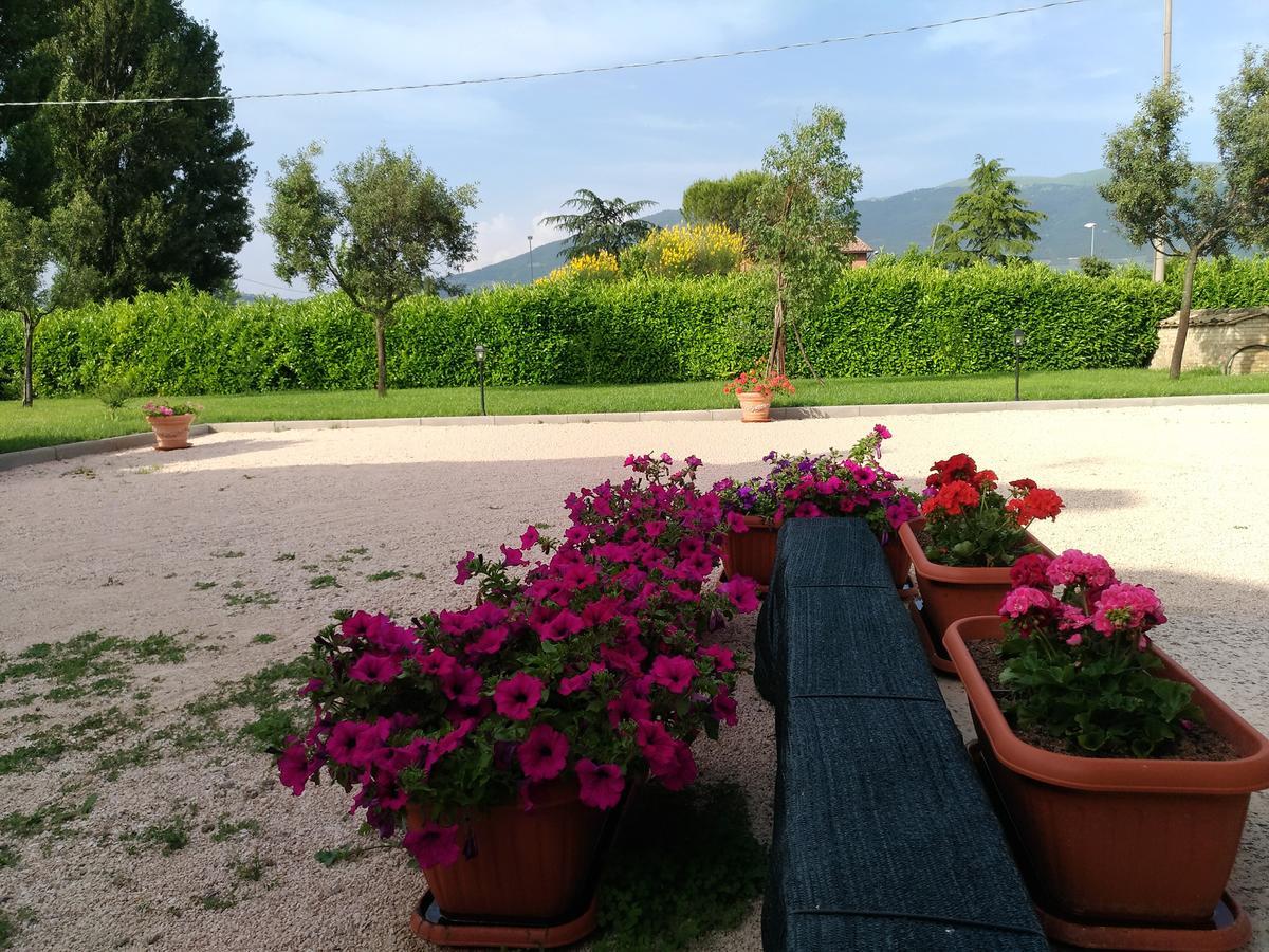 Agriturismo"Il Sagrato Di Assisi" Appartamenti,Camere Luaran gambar