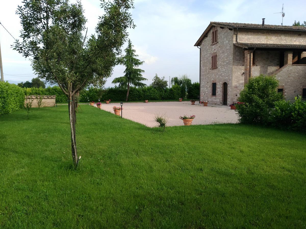 Agriturismo"Il Sagrato Di Assisi" Appartamenti,Camere Luaran gambar