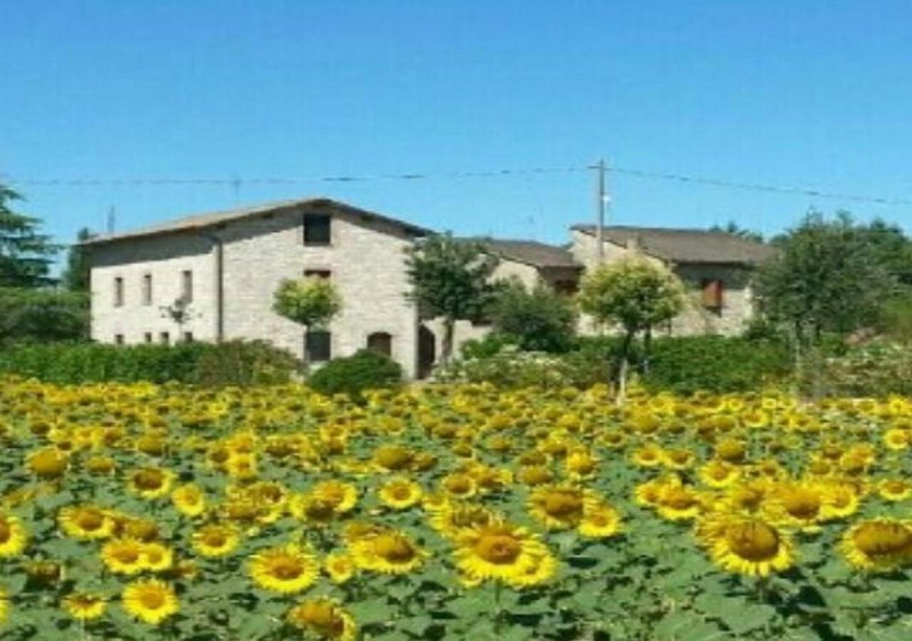 Agriturismo"Il Sagrato Di Assisi" Appartamenti,Camere Luaran gambar